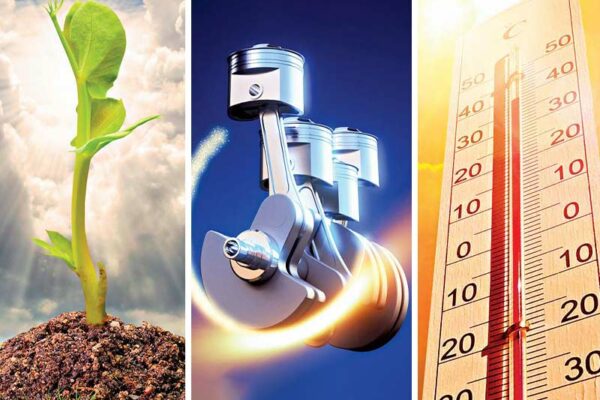 Simple Physics: What Do Photosynthesis, Thermometers and Car Engines Have in Common?