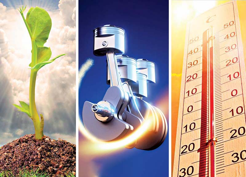 Simple Physics: What Do Photosynthesis, Thermometers and Car Engines Have in Common?