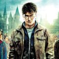 What We Can Learn from Harry Potter