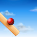 Life of a Cricket Bat : Nabhya Dubey, Class 6, Udayachal High School, Mumbai