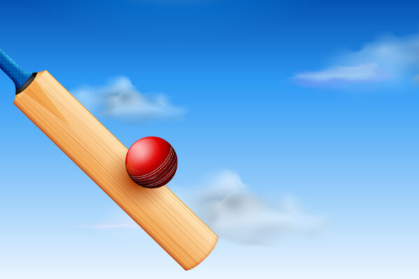 Life of a Cricket Bat