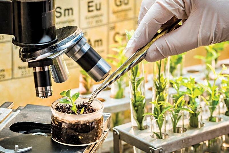 Tracing Change: The Indian Biotechnology Industry