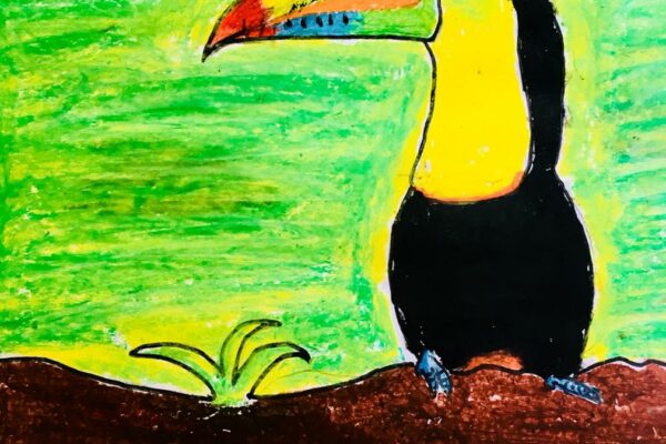 Save Endangered Birds