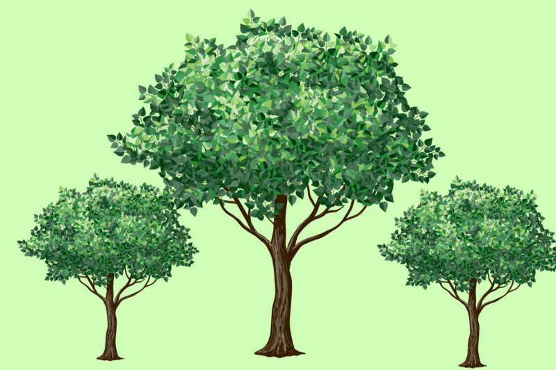 Trees