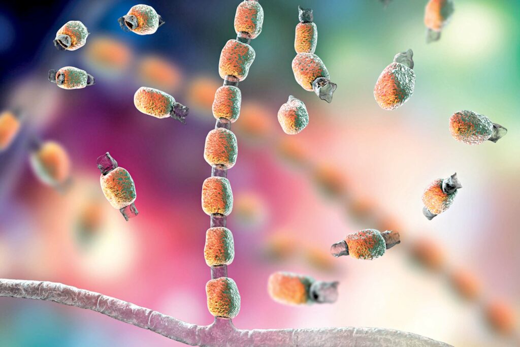 Spread of Fungal Infections - RobinAge