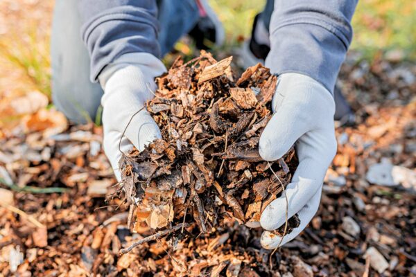 Recycling Agricultural Waste   