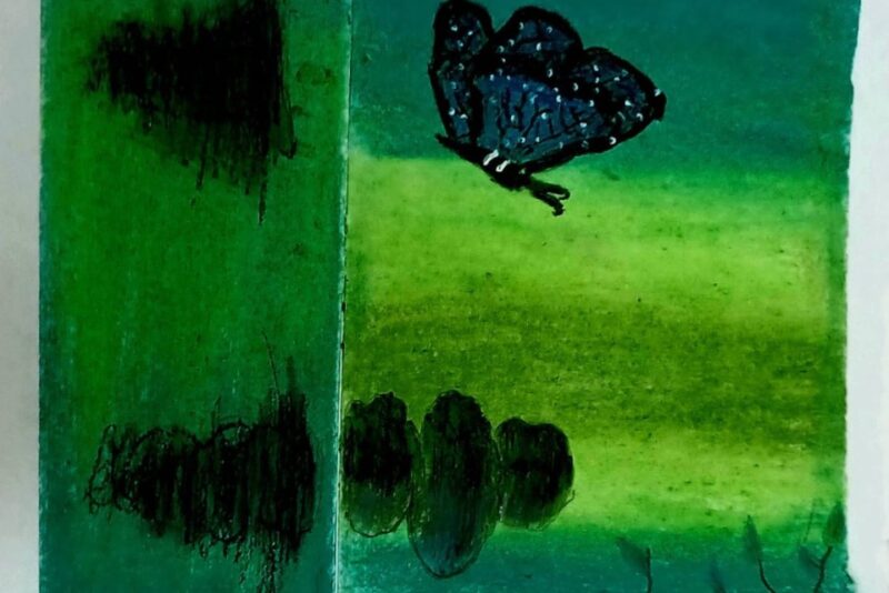 butterfly-robinage