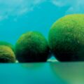 Global Warming Affects Marimo Algae - Environmental News for Kids