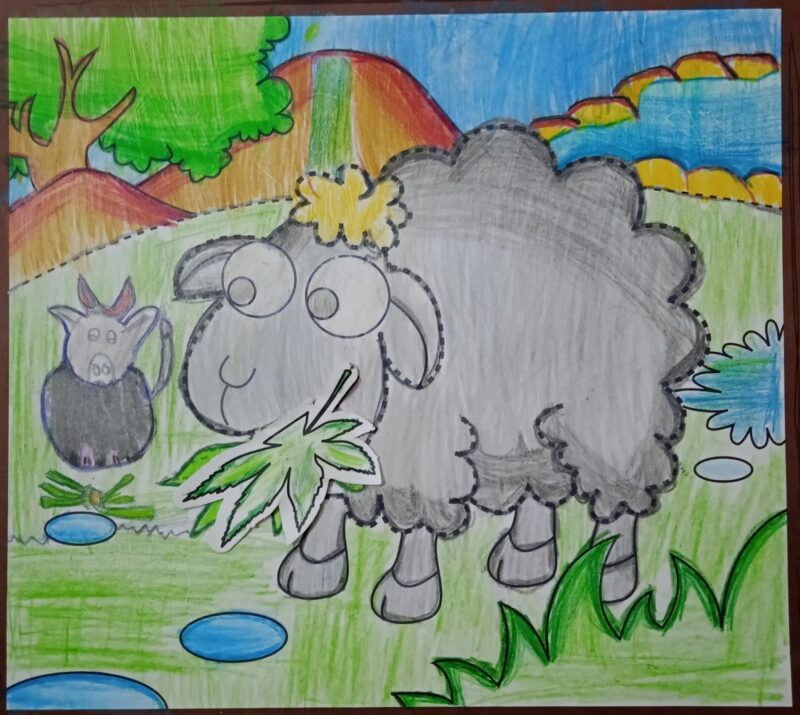 Sheep and Pig