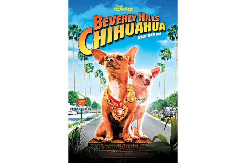 Beverly Hills Chihuahua