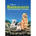 Homeward Bound the Incredible Journey - Best Films for Children