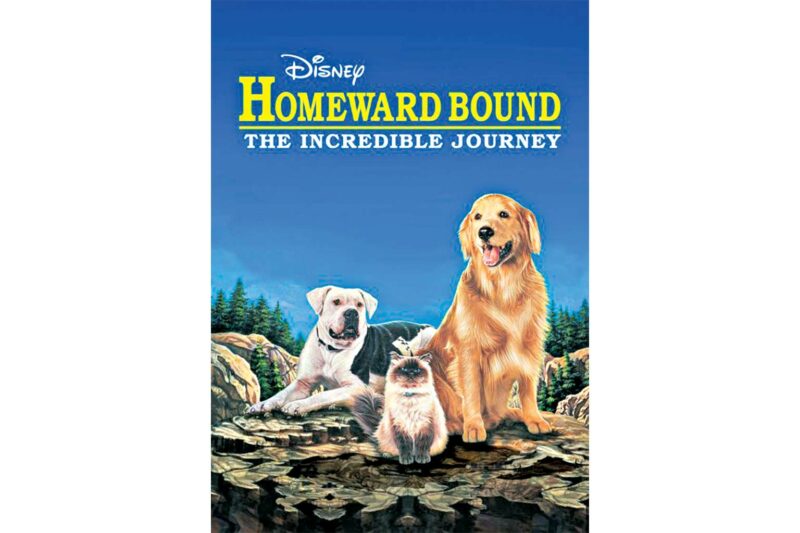 Homeward Bound: The Incredible Journey