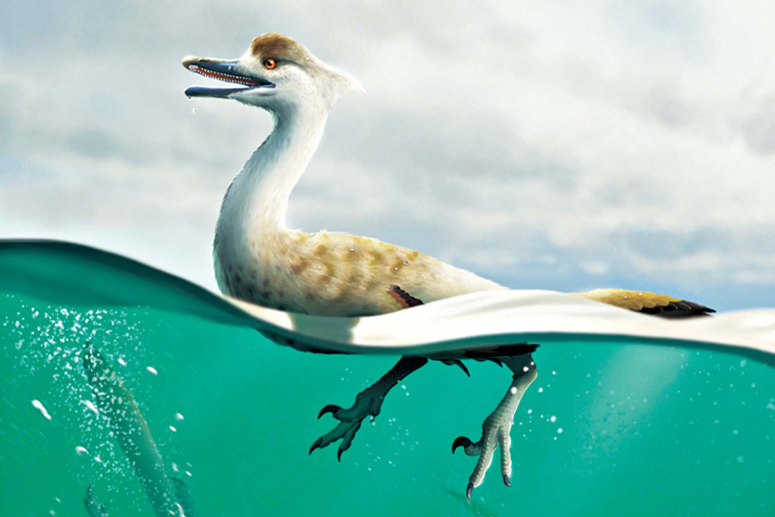 A New Species Of Dinosaur Might Have Dived Like A Duck To