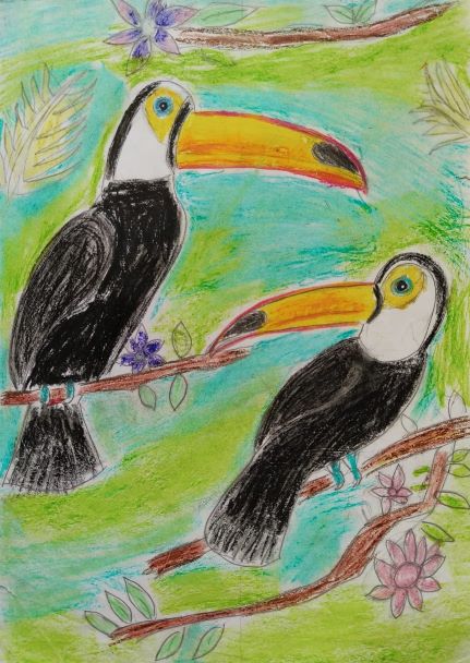 Toucan Couple