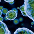 Ancient Viruses Revived - News for Kids