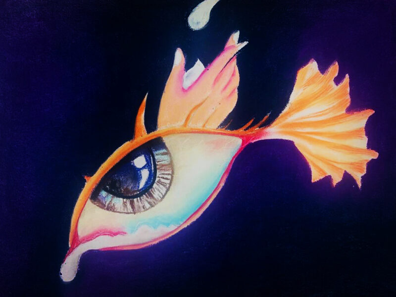 A Fish, An Eye, A Tear or A Drop