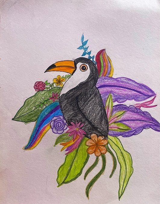 Toucan Art