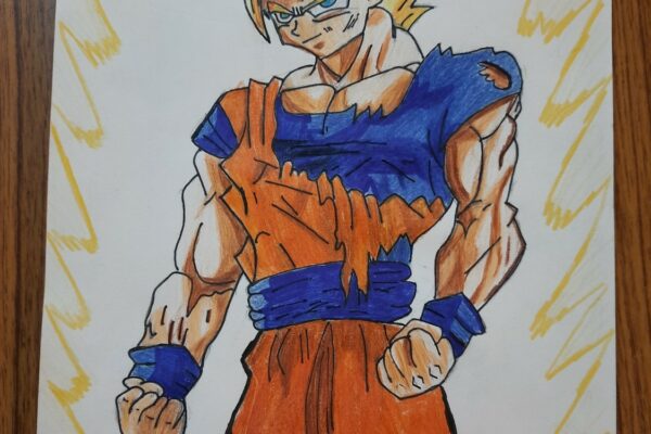 Goku Super S