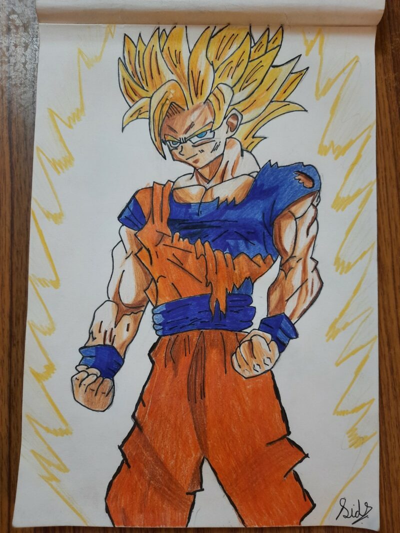 Goku Super S