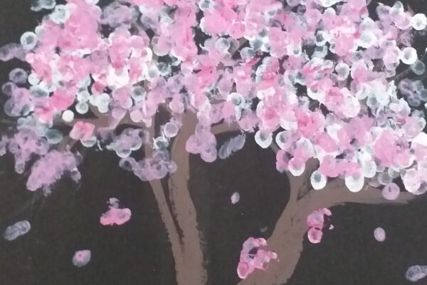 Cherry blossom Tree
