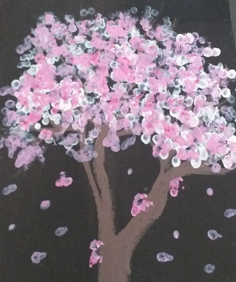 Cherry blossom Tree