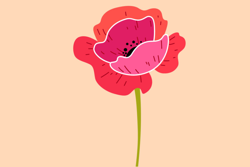 A little Flower