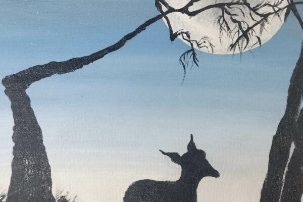 A Deer