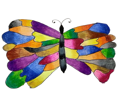 The Colourful Butterfly