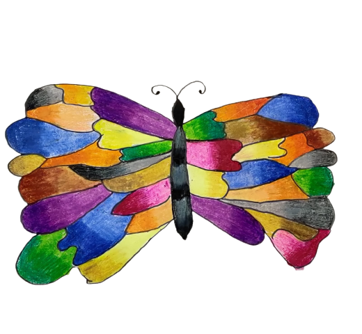 The Colourful Butterfly