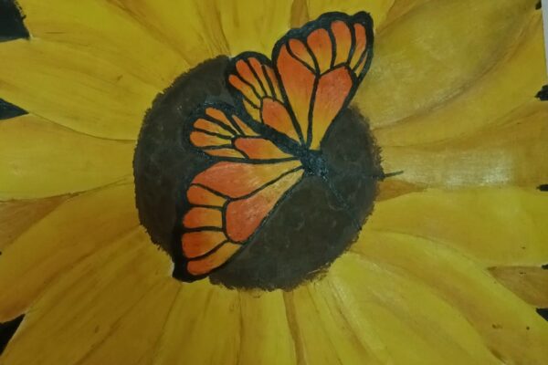 A Butterfly in a Flower