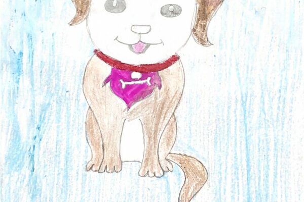 a cute puppy