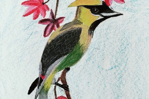 Cedar Waxing
