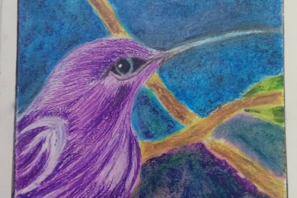 AN appealing BIRD