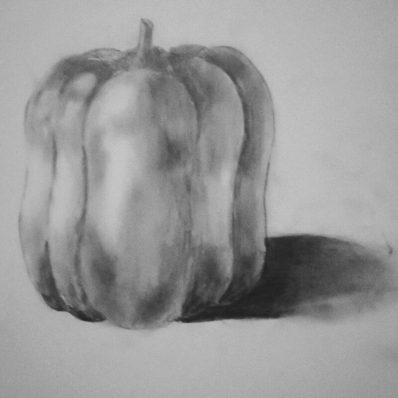 Vegetable – Shading