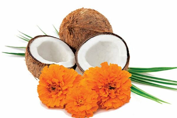 Why Do People Break Coconuts in Hindu Temples? 