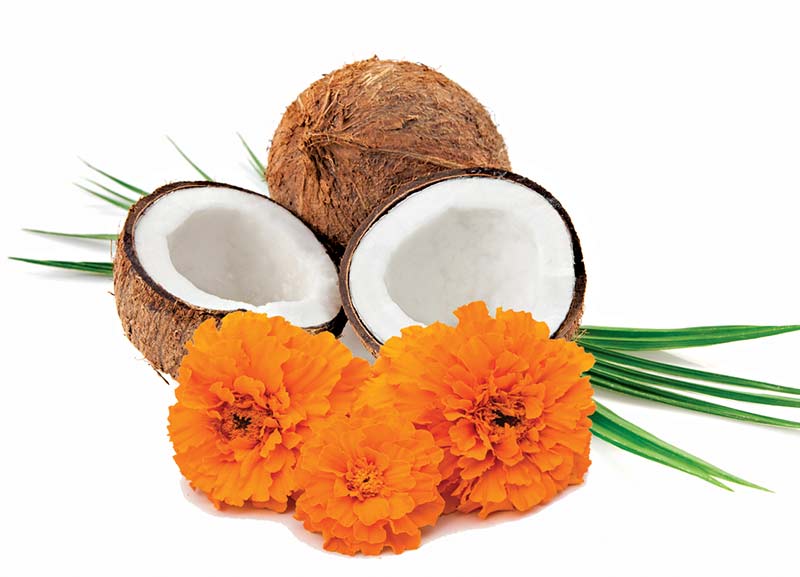 Why Do People Break Coconuts in Hindu Temples? 