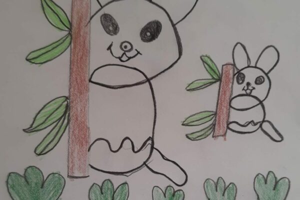 Drawing