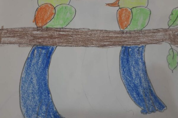 Drawing