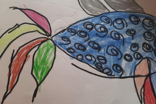 Drawing