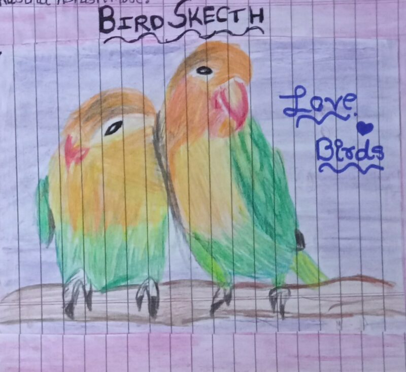 Love Birds