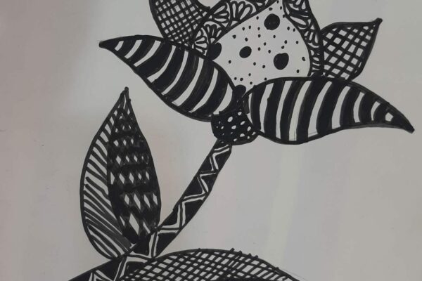 A Flower
