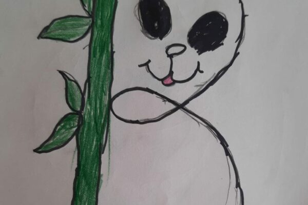 Drawing