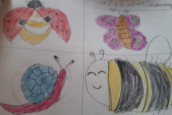 Drawing