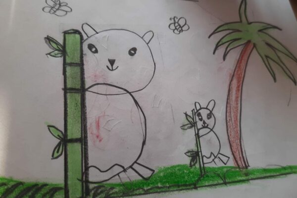 Drawing
