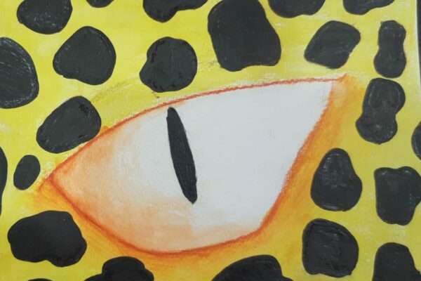 Eye