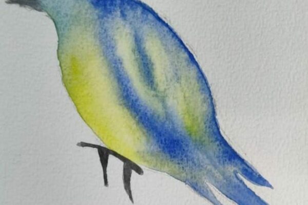 Water colour Bird