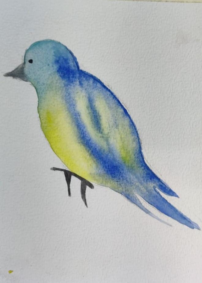 Water colour Bird