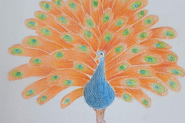 Exquisite fowl