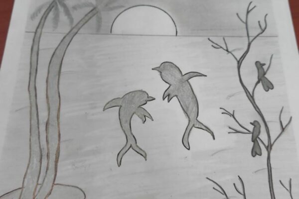 Dolphin