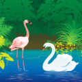 The Flamingo and the Swan by Samreen Gill, Class 5, Learning Paths School, Mohali